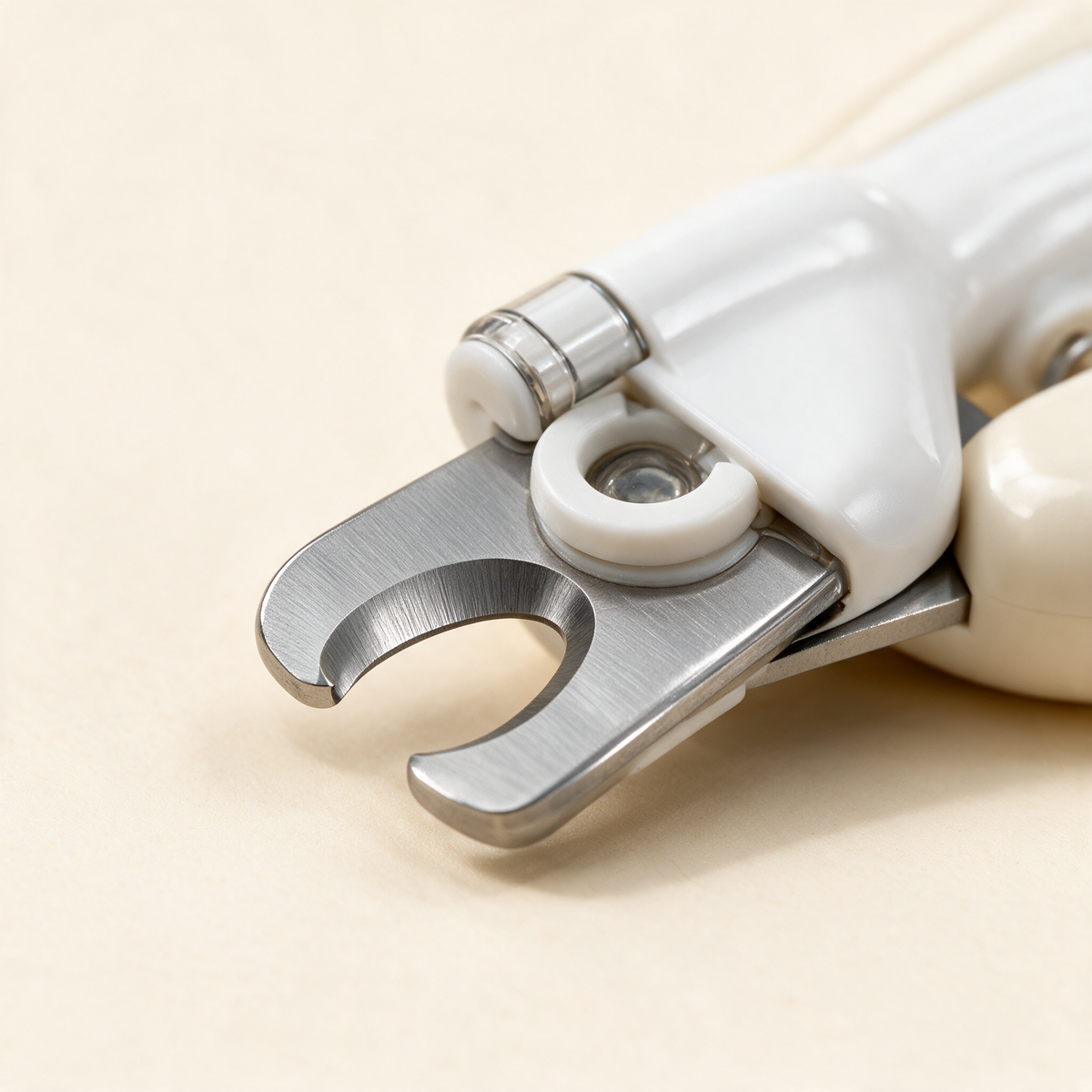 Close up of the stainless steel blade and white safety guard