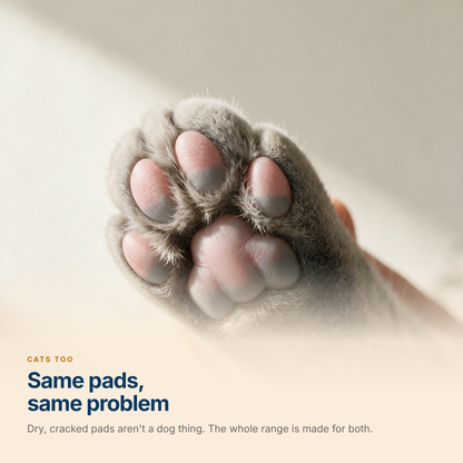 A cat's front paw held palm-up, showing the soft pink and grey pads