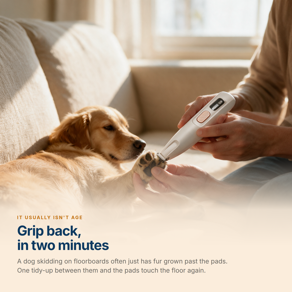 Trimming the fur between a golden retriever's paw pads to bring back grip on floorboards