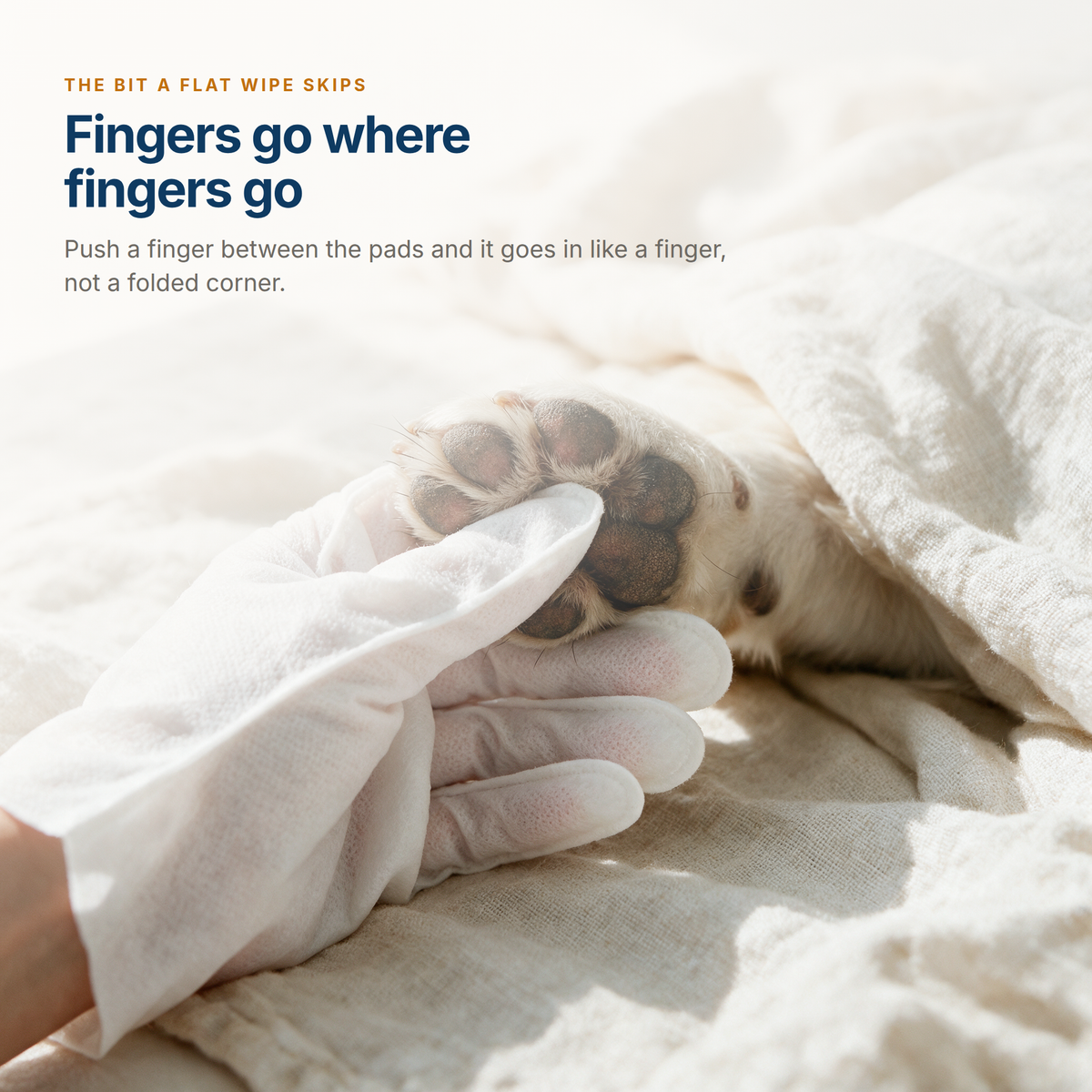 A gloved fingertip pushed in between a dog's paw pads, where a flat wipe cannot reach
