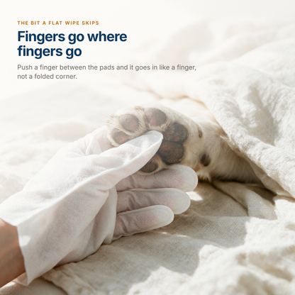 A gloved fingertip pushed in between a dog's paw pads, where a flat wipe cannot reach