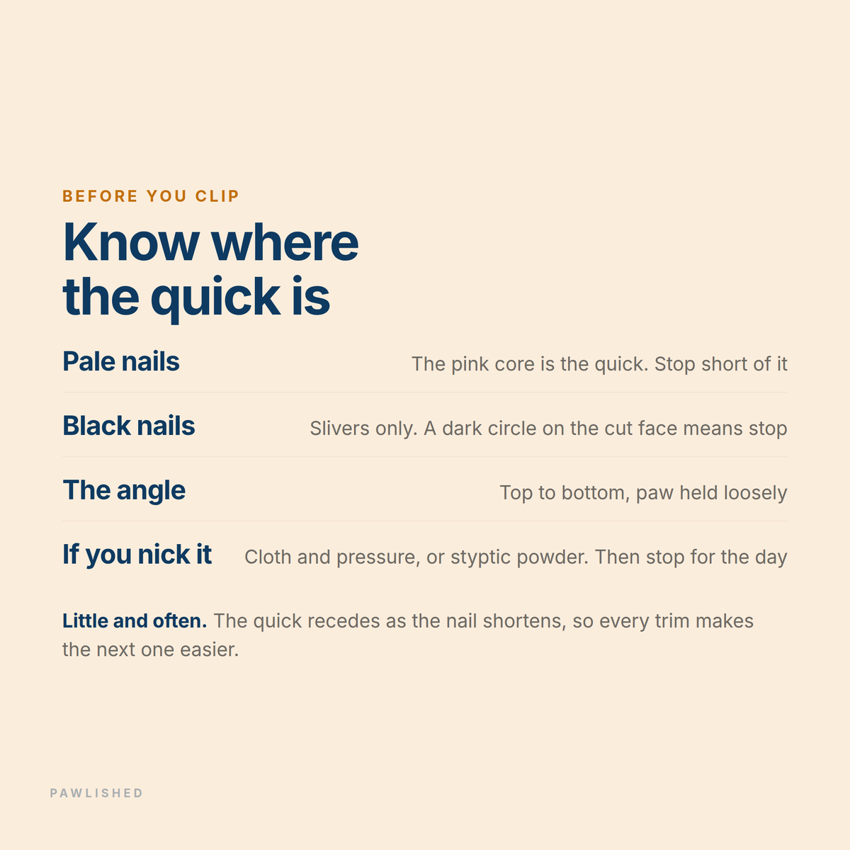 Guide to finding the quick before clipping - pale nails, black nails, the angle, and what to do if you nick it
