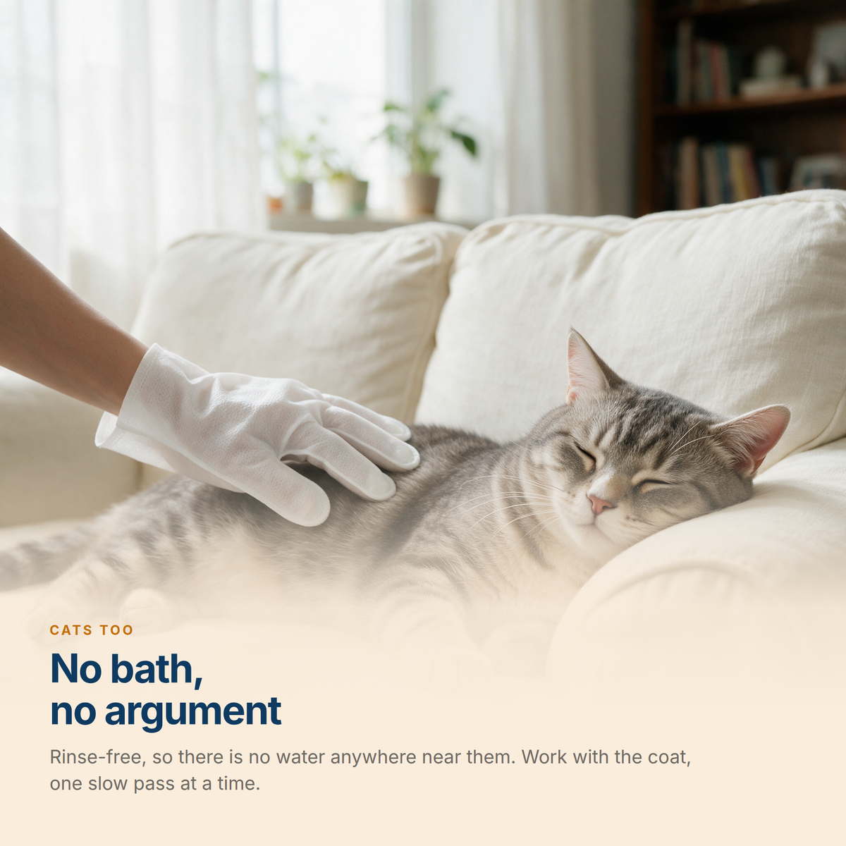 A relaxed grey tabby cat being wiped along the back with a Mitt Wipe glove, no water needed