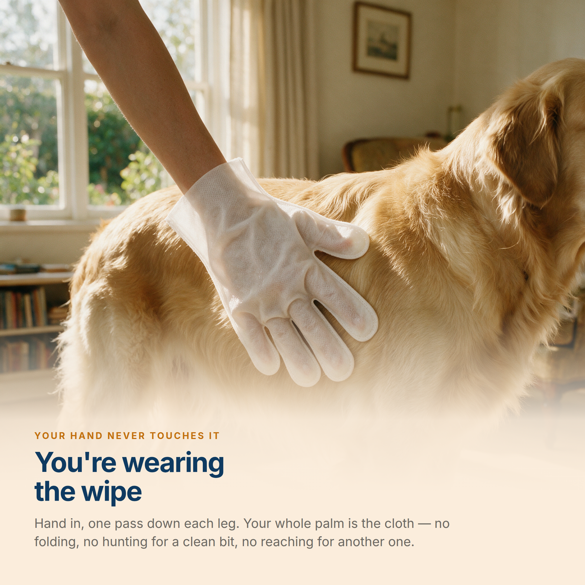 A hand wearing a white Mitt Wipe grooming glove wiping down the flank of a golden retriever