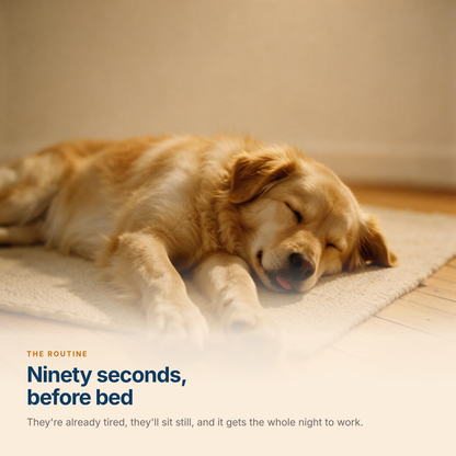 A golden retriever asleep on a cream rug with its front paws stretched towards the camera